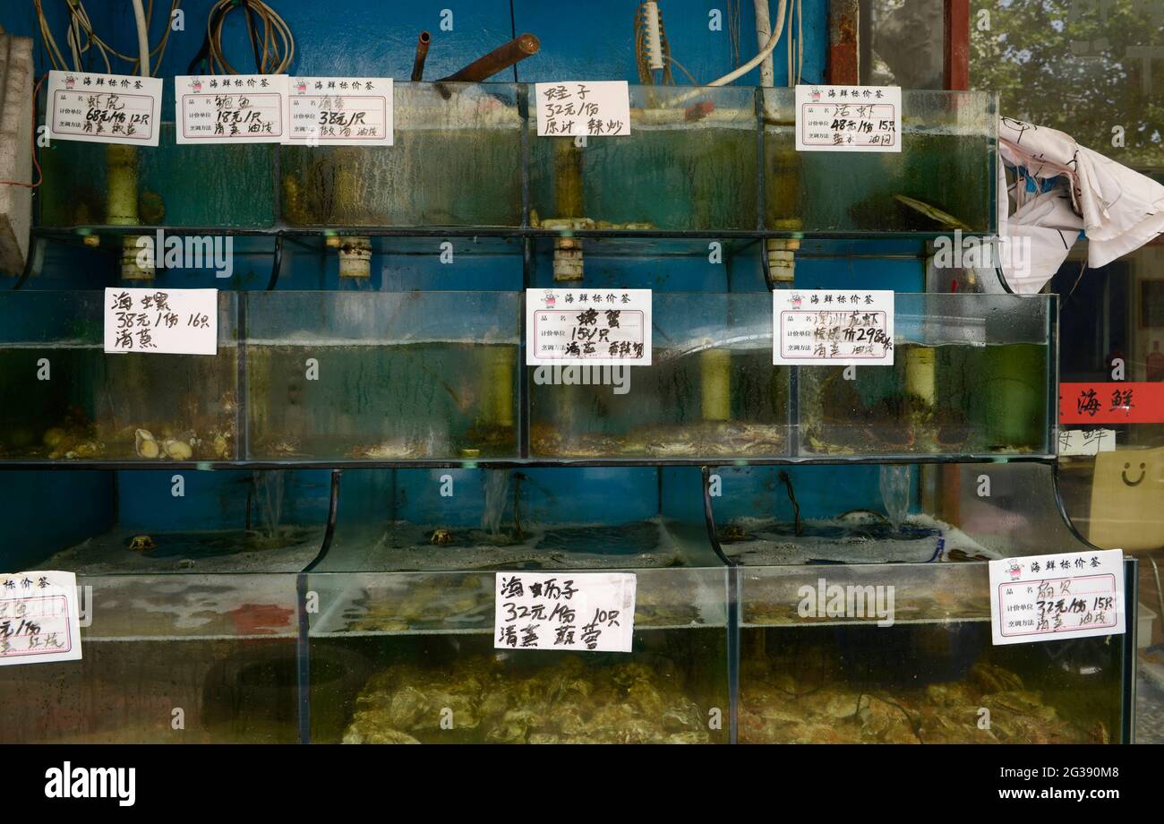 Many fish and other seafood tanks outside a restaurant in Qingdao with prices clearly marked. Qingdao, China Stock Photo