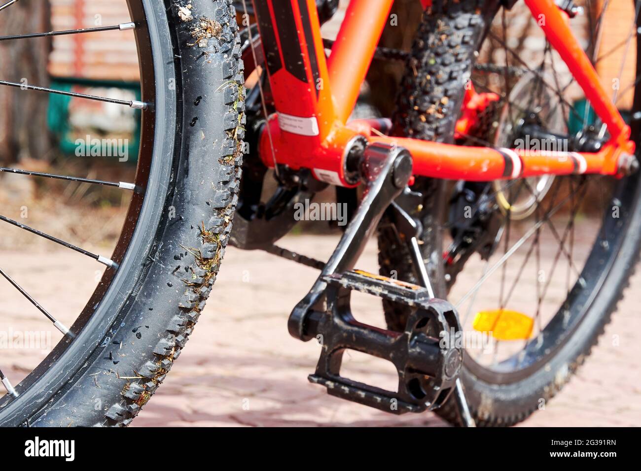 Red mountain bike staying on the yard and ready for the wild ride. Sport and leisure activity theme and backgrounds Stock Photo