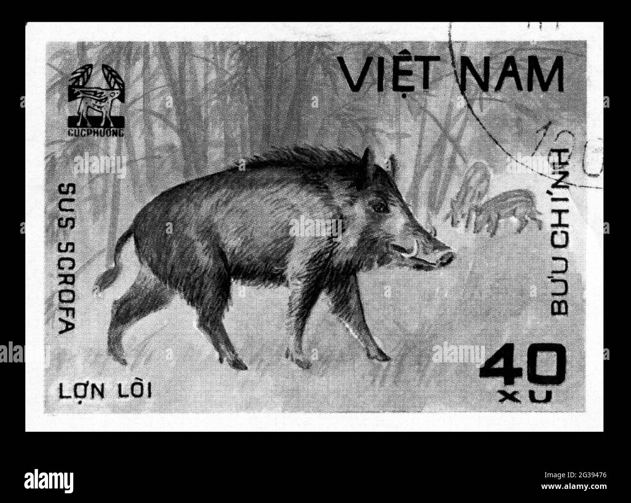 Stamp print in Vietnam, animals, Sus scrofa Stock Photo