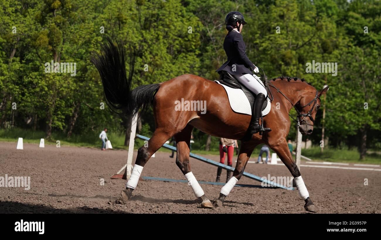 Young girl rider on brown horse in equestrian sport competition. Horse