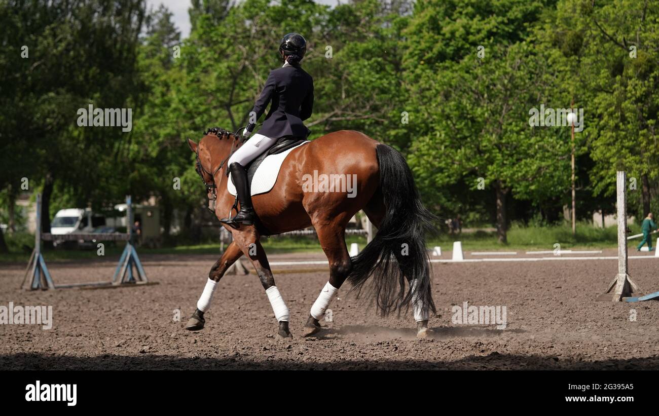 Young girl rider on brown horse in equestrian sport competition. Horse