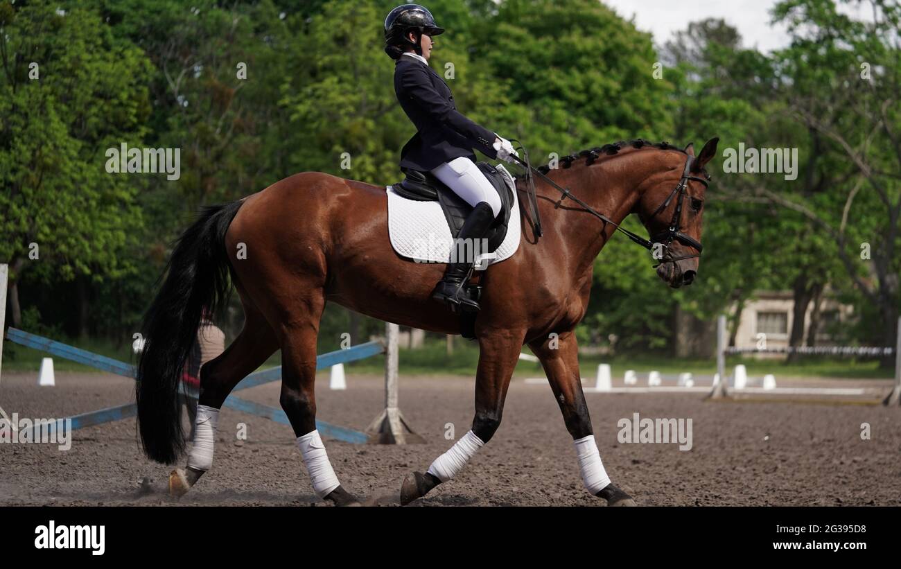 Young girl rider on brown horse in equestrian sport competition. Horse riding on the arena
