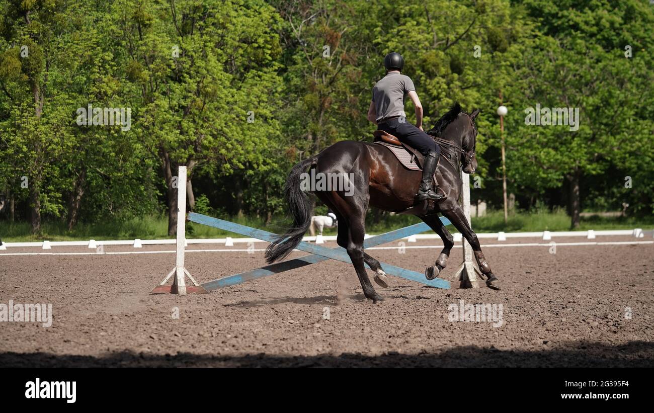 Young man rider on brown horse in equestrian sport competition. Horse