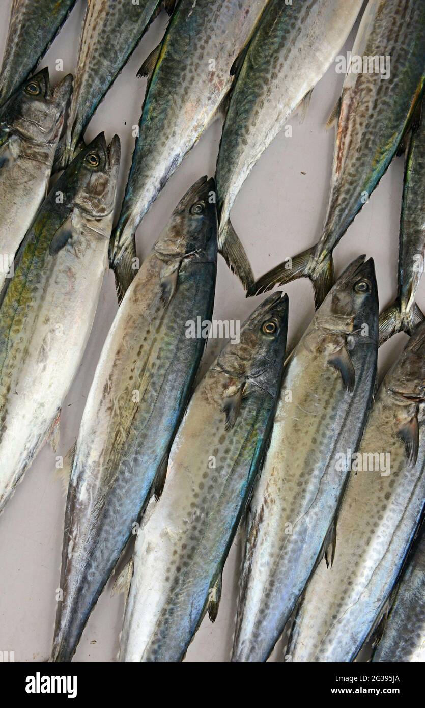 Fish for sale at a food market in Yantai, Shandong, China Stock Photo ...