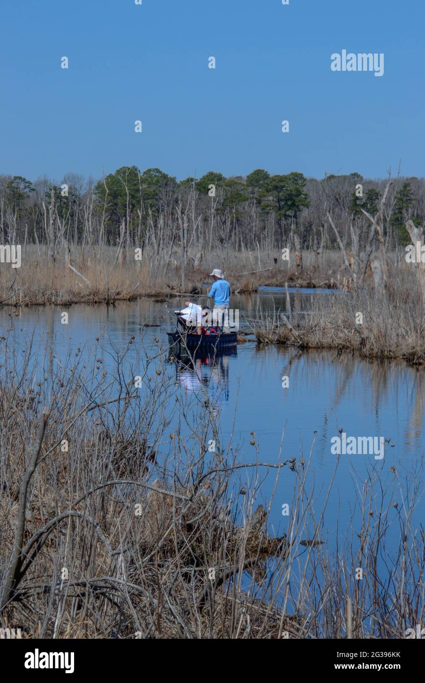 Fishermen experience open marshes, forested wetlands, non-tidal freshwater creek, and red maple and sweet bay magnolia trees Stock Photo