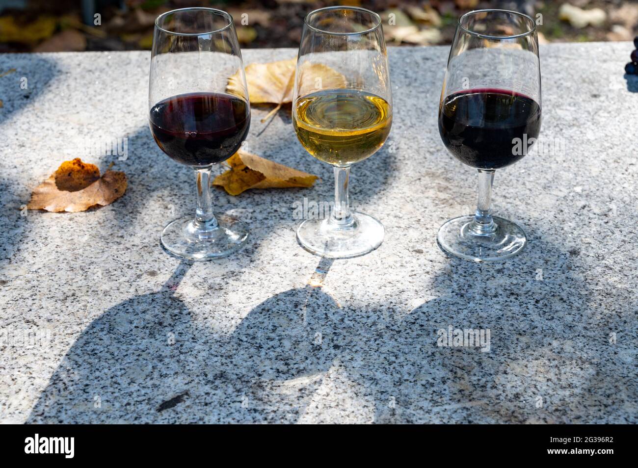 Tasting of Portuguese fortified dessert and dry port wine, produced in