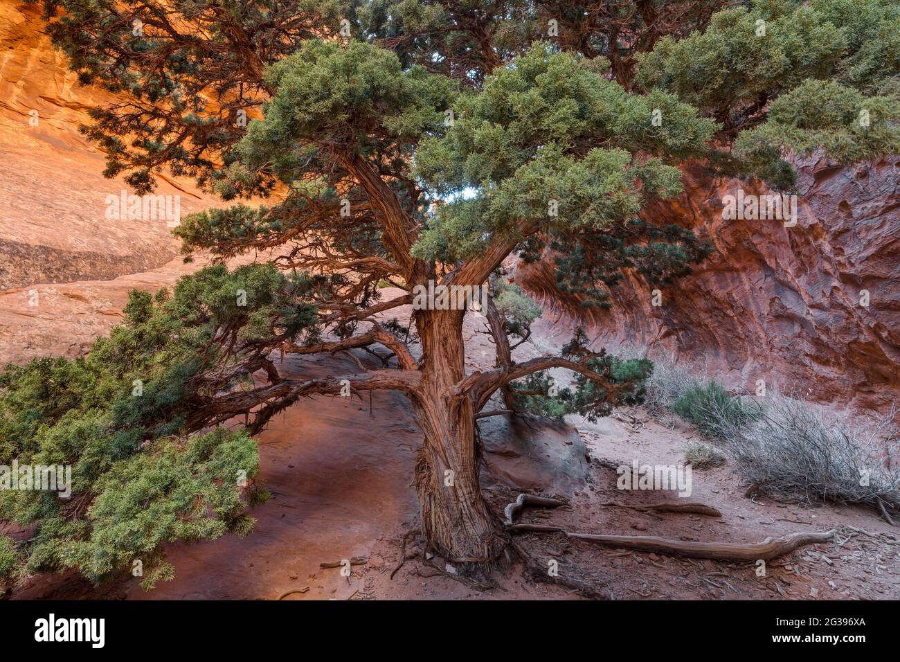 Navajo arch spur trail hi-res stock photography and images - Alamy
