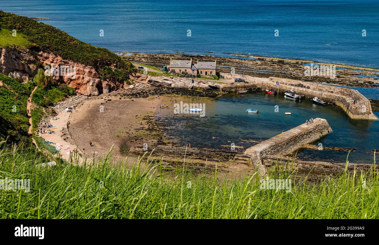 Clifftop view of picturesque Cove harbour with people on the beach on sunny Summer day, Scottish Borders, Scotland, UK Stock Photo