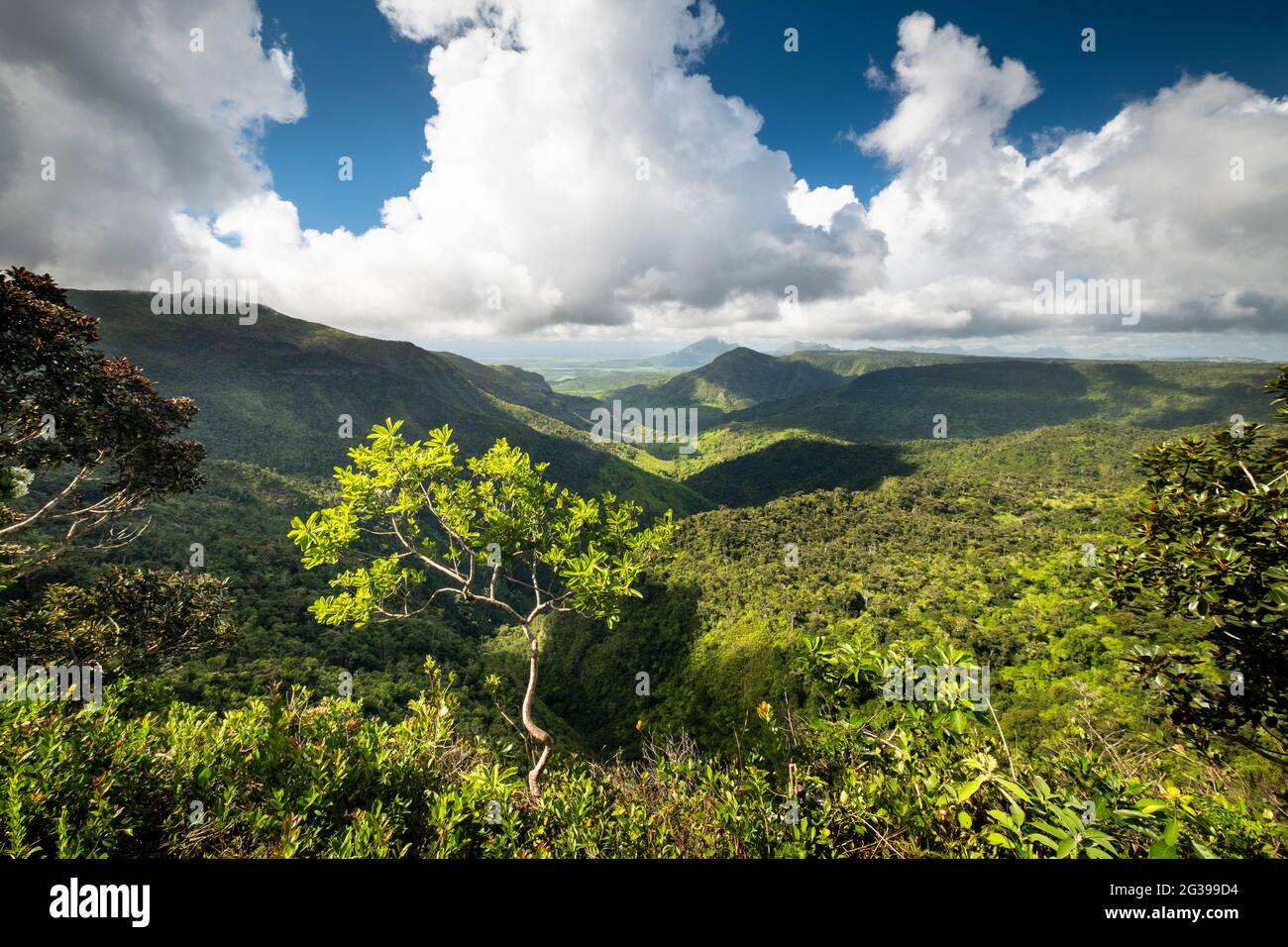 View of mountains in Black River National Park, Mauritius Stock