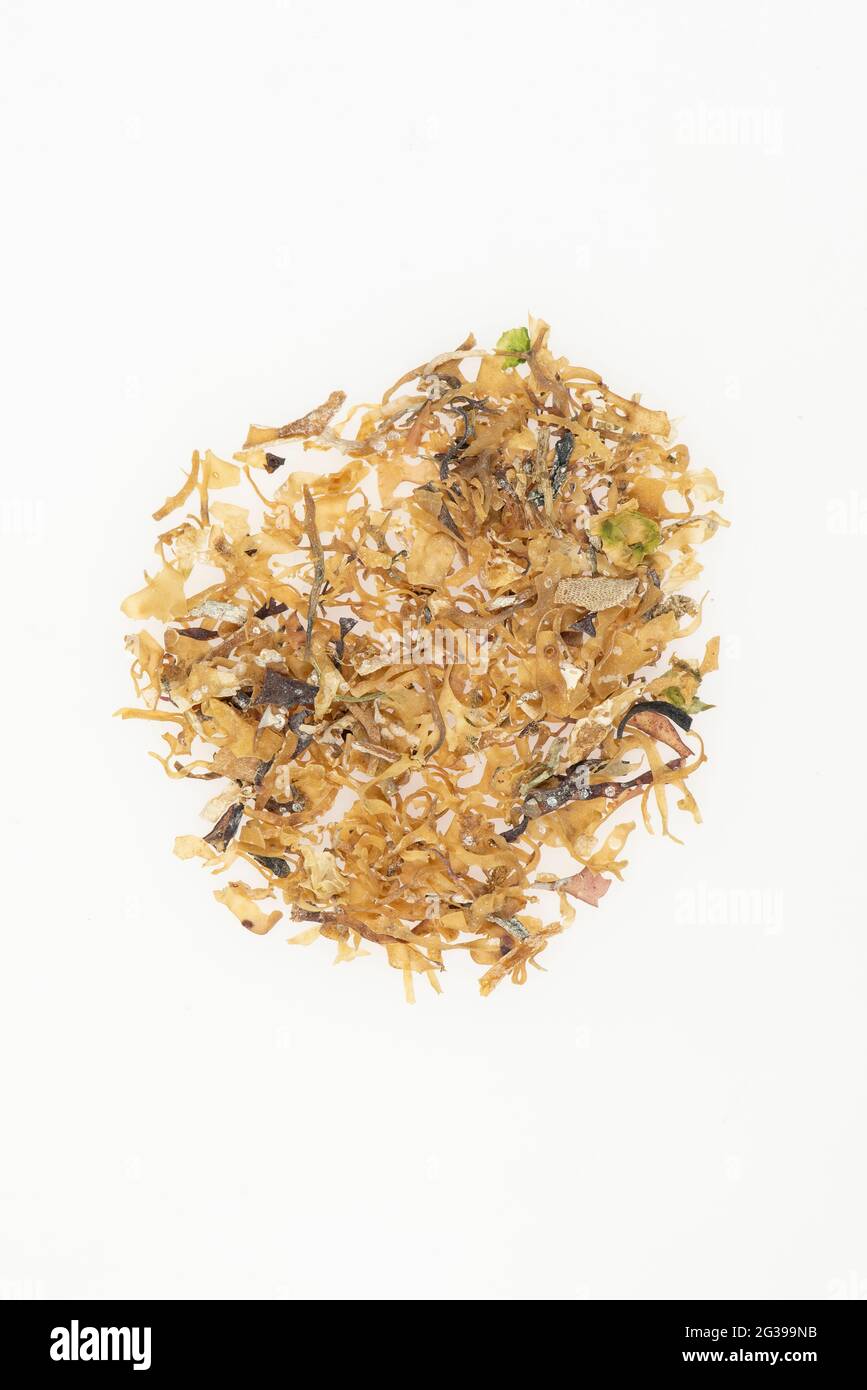 Dried Irish moss seaweed carrageen on a white background in a studio Stock Photo