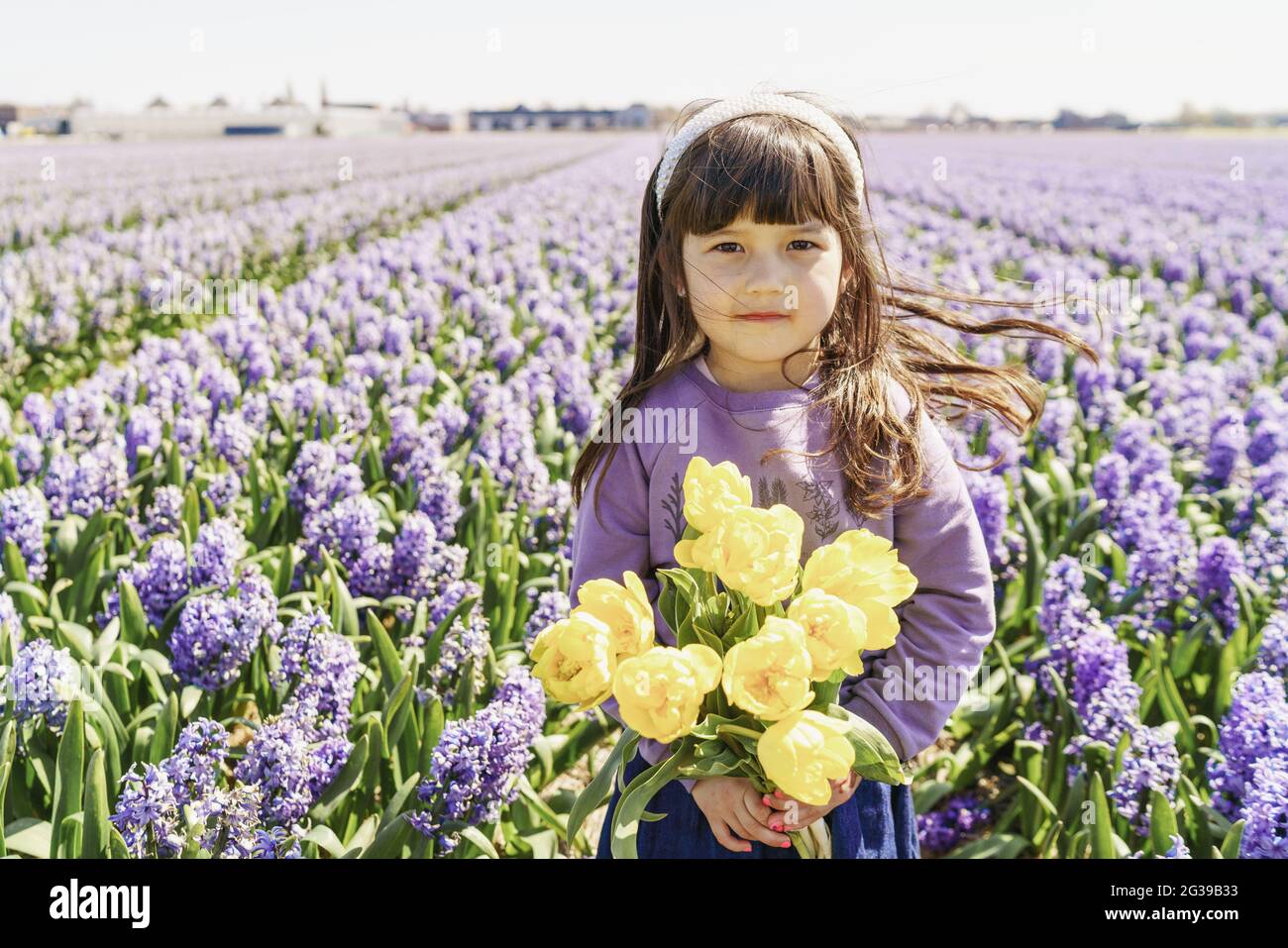 Little girl holding yellow tulips on hyacinth fields Stock Photo