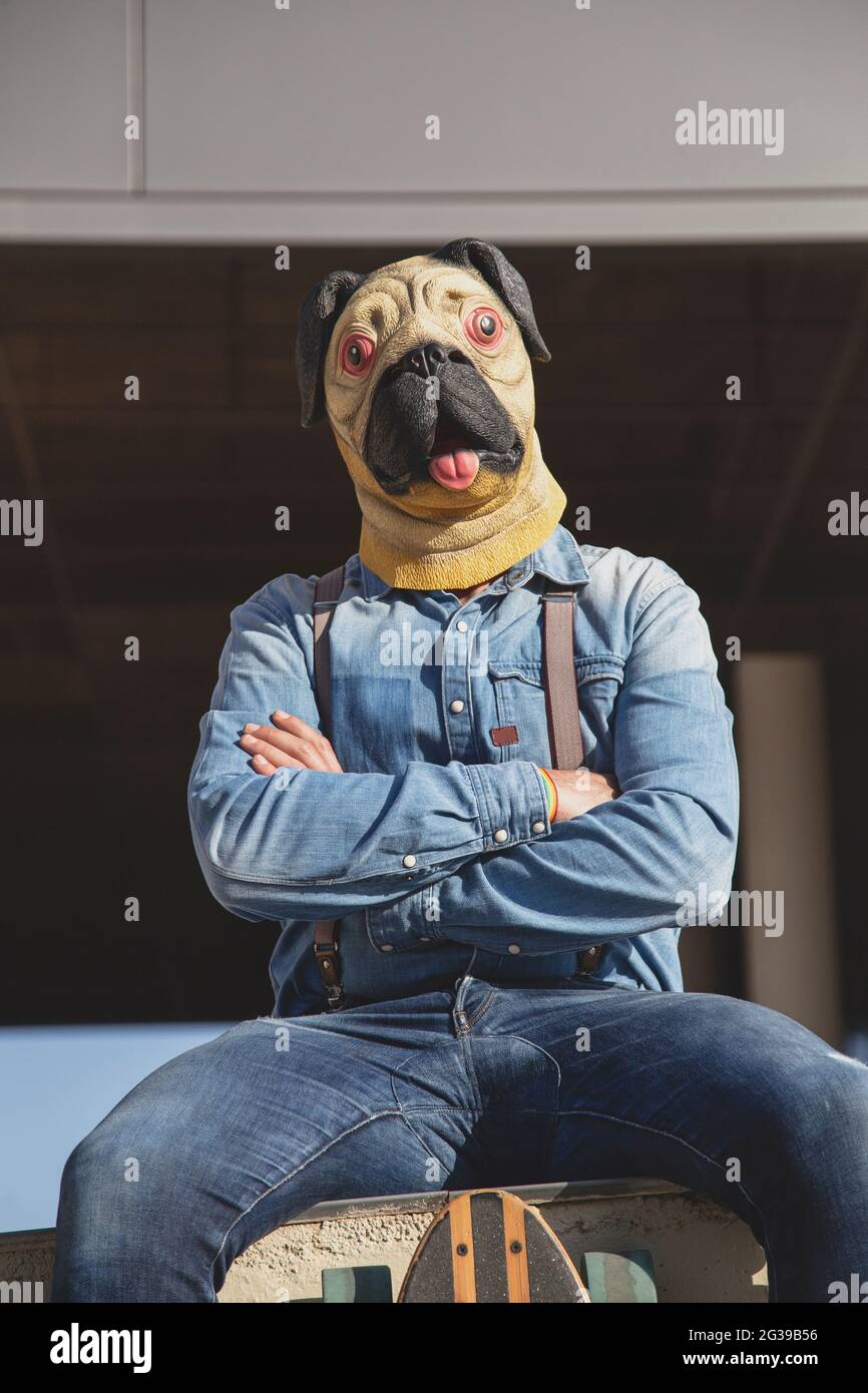 Man with pug mask sitting on a wall with a longboard. Stock Photo
