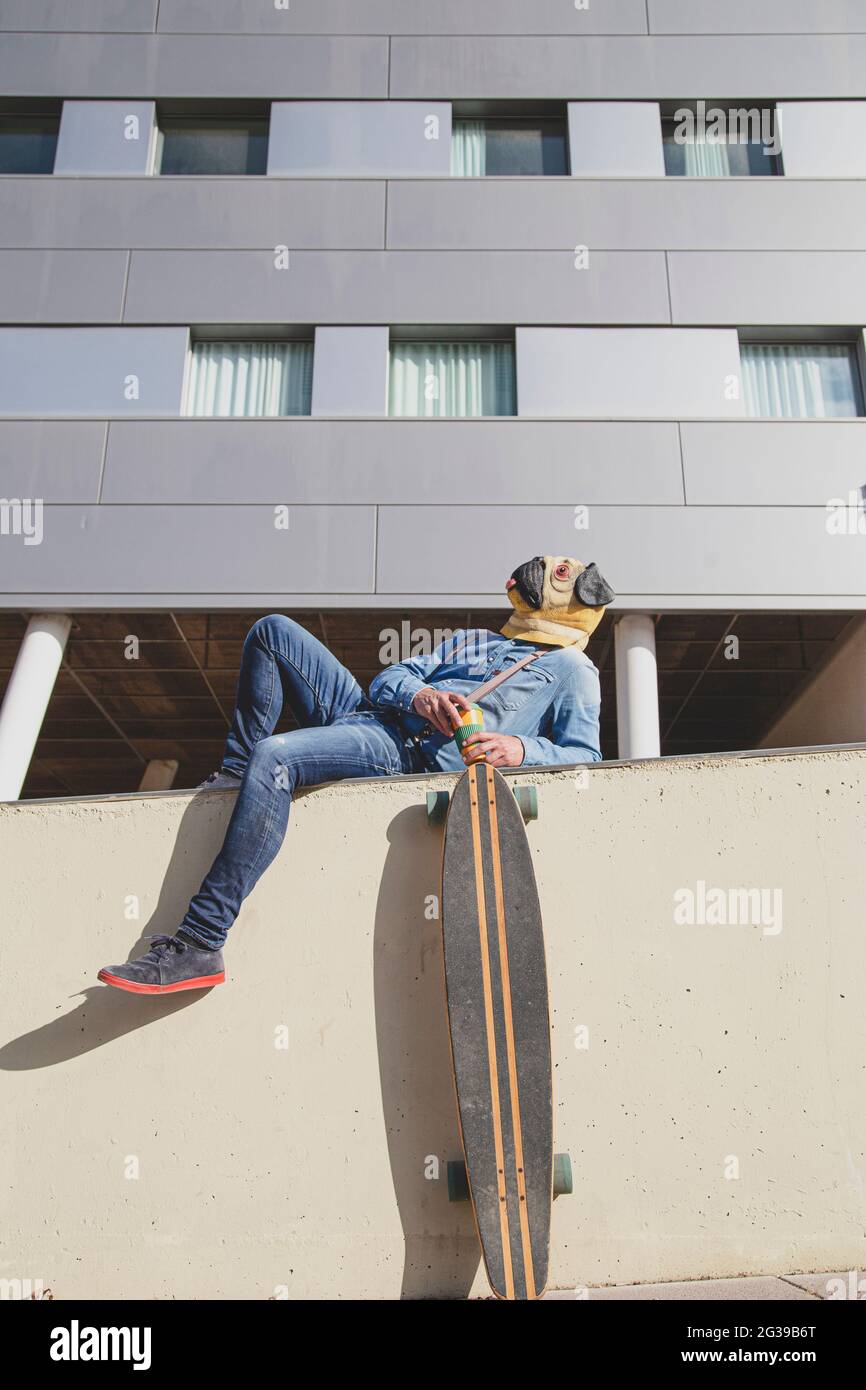 Man with pug mask lying on a wall supporting a longboard. Stock Photo