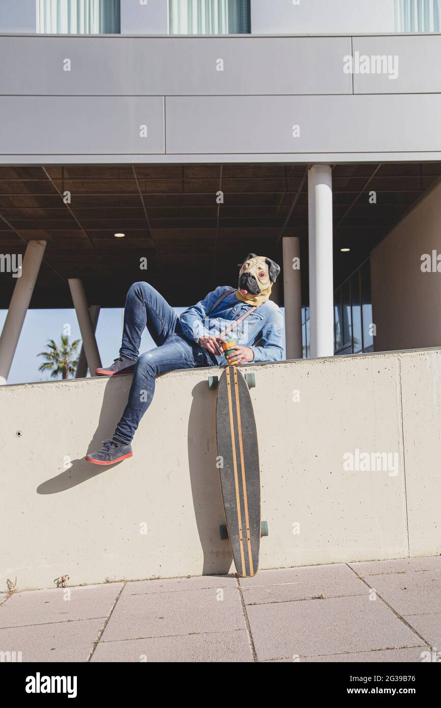 Man with pug mask lying on a wall supporting a longboard. Stock Photo