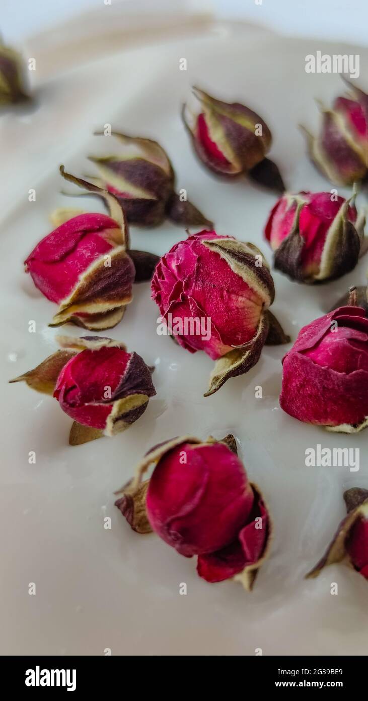 Closeup of white icing with pink rose blossom. Dessert decoration Stock Photo