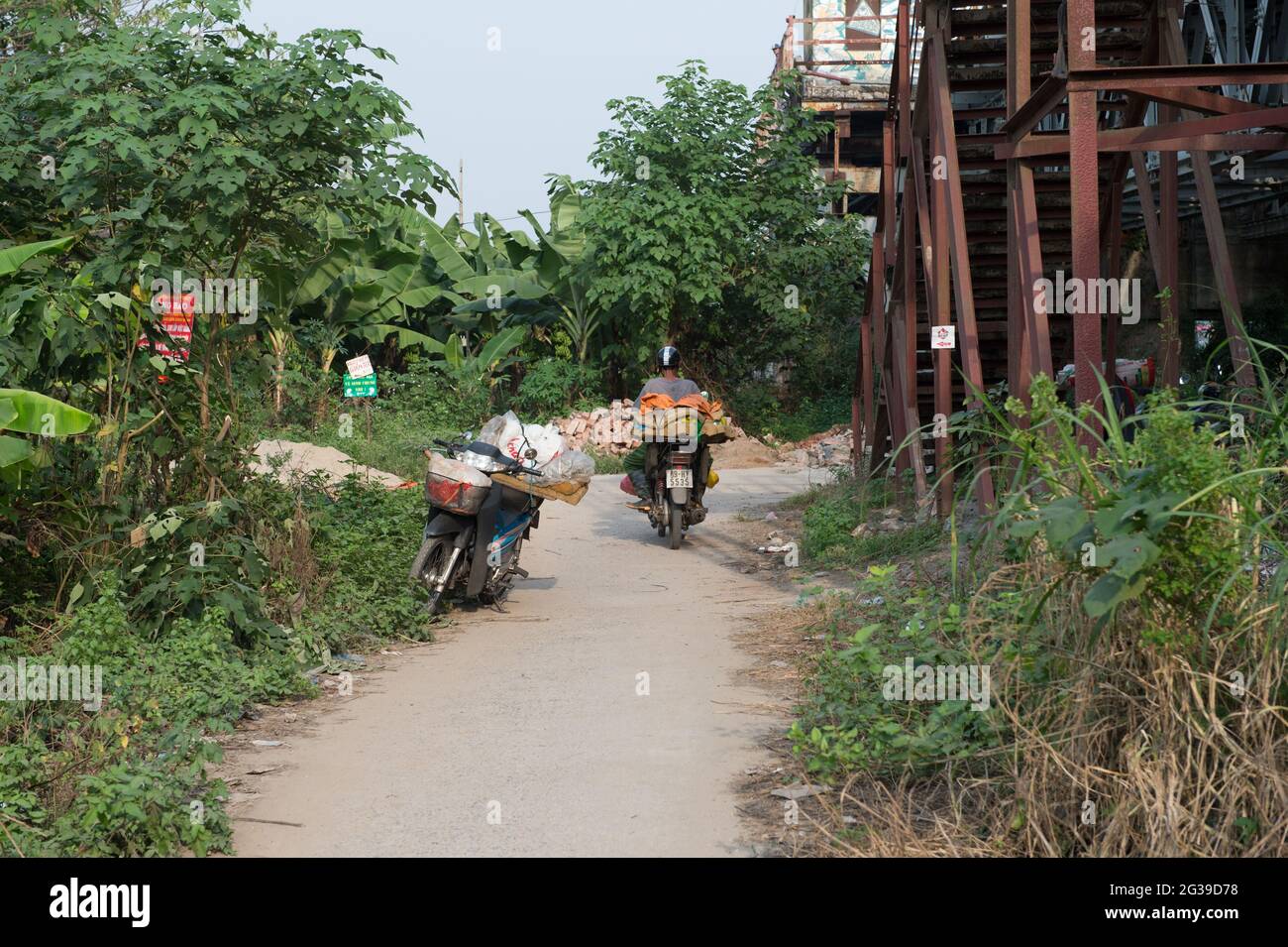 A motorcyclist carrying bananas on his motorbike on Banana Island in