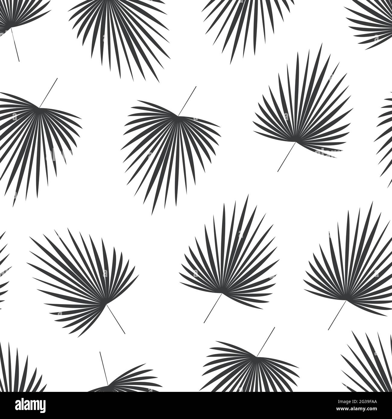 Palm leaves Monochrome vector illustration Stock Vector