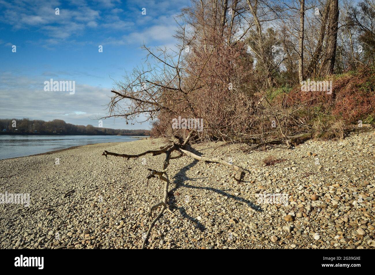 Austria Wild Rivers landscape of austrian Donau river beach - wild nature reserve area ...