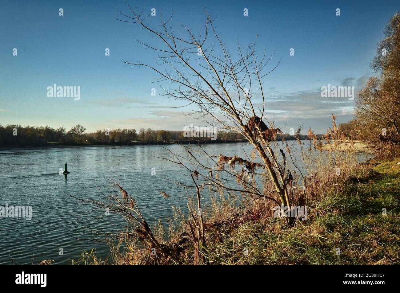 Austria Wild Rivers landscape of austrian Donau river wild nature reserve area Stock Photo ...