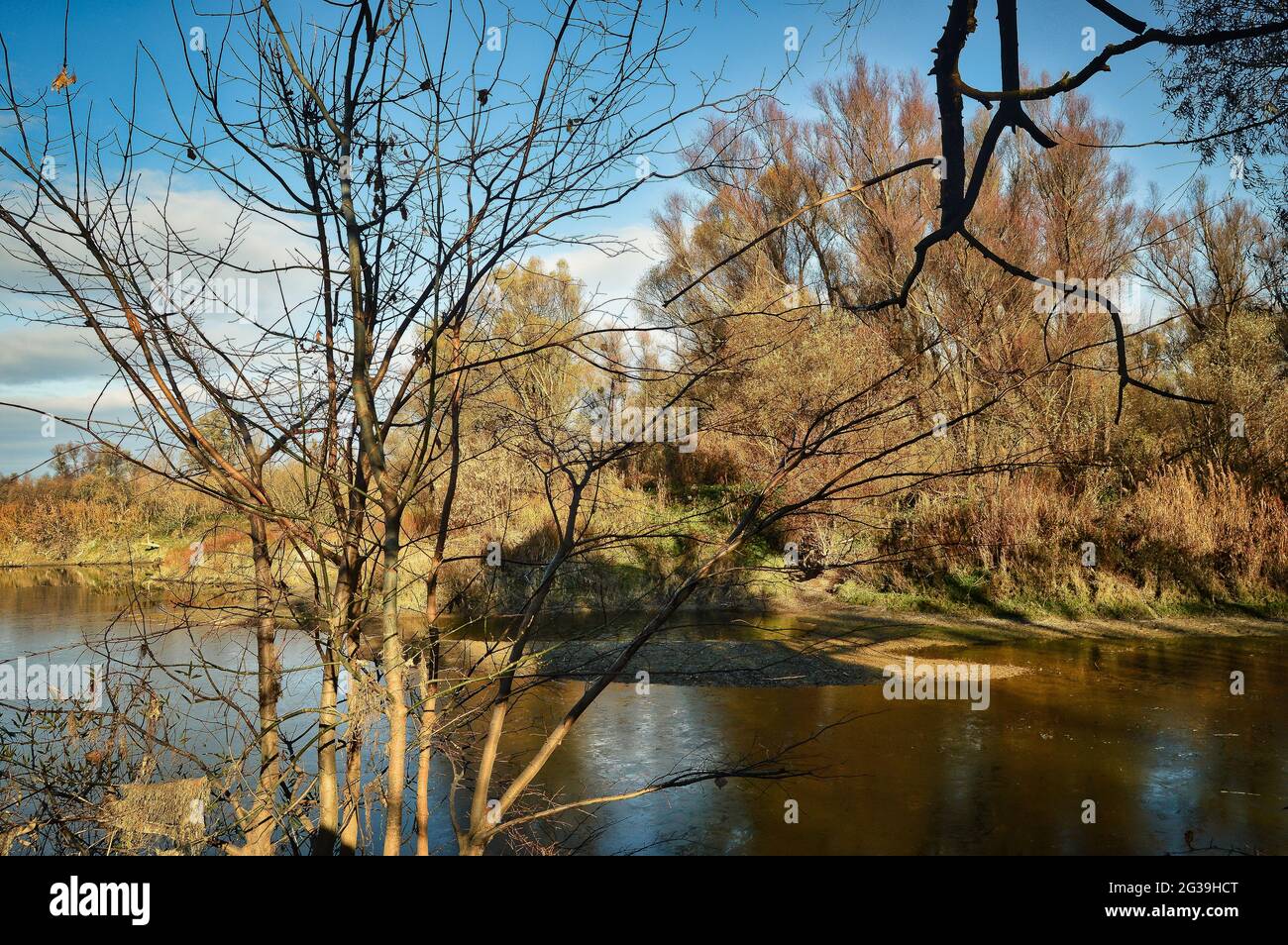 Austria Wild Rivers landscape of austrian Donau river wild nature reserve area Stock Photo ...