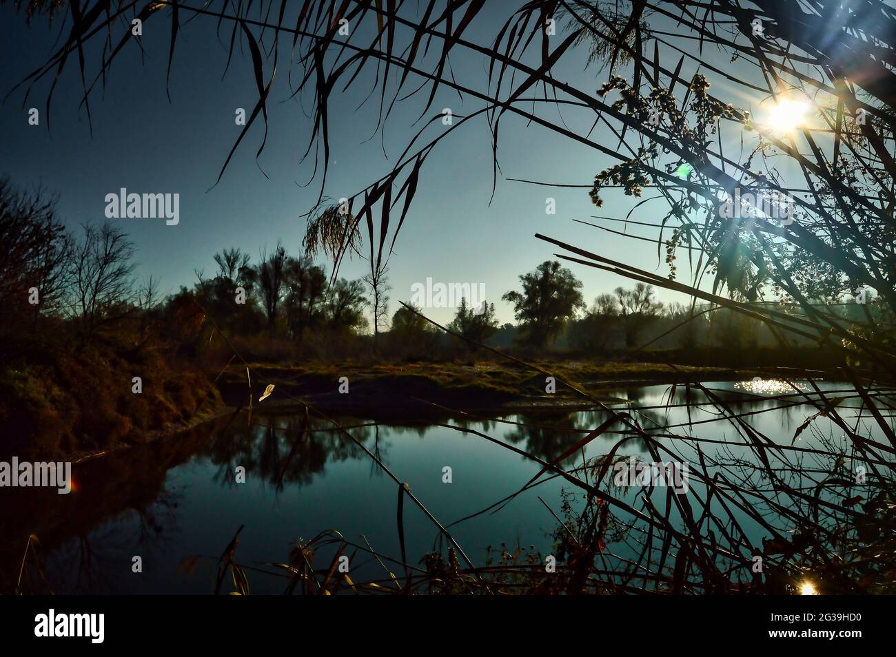 Austria Wild Rivers backlit landscape of austrian Donau river wild nature reserve area ...