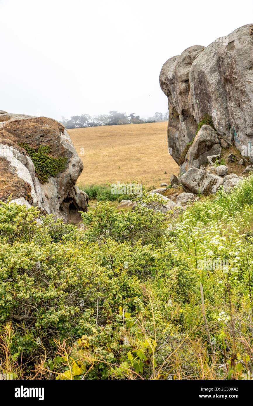 Elephant Rock is a formation that can be found while driving on Dillion Beach Road towards the beach from Tomales in Marin County, California. Stock Photo