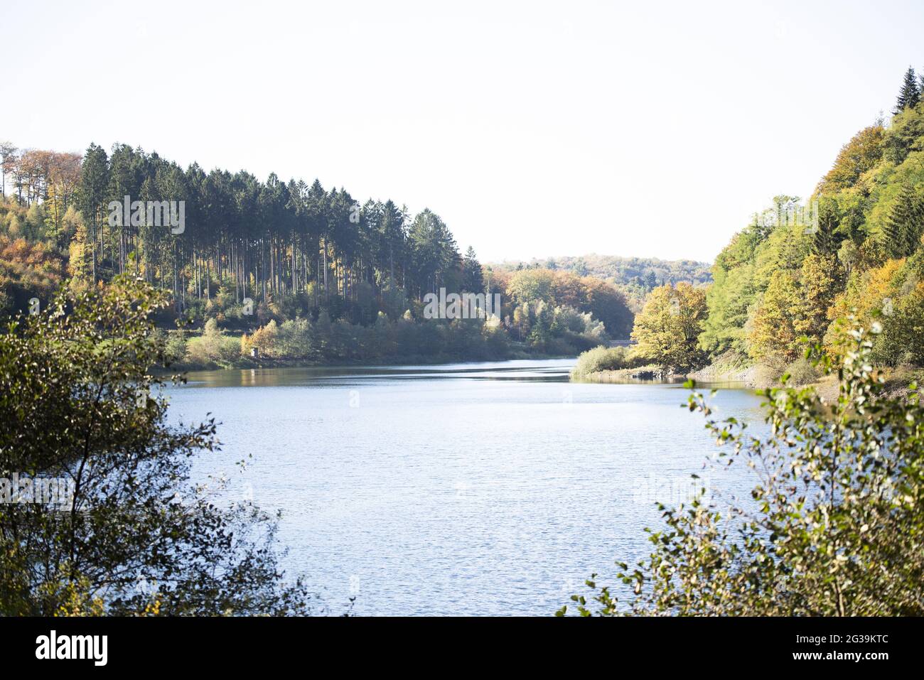 Mesmerizing view of a calm lake surrounded by high trees Stock Photo ...
