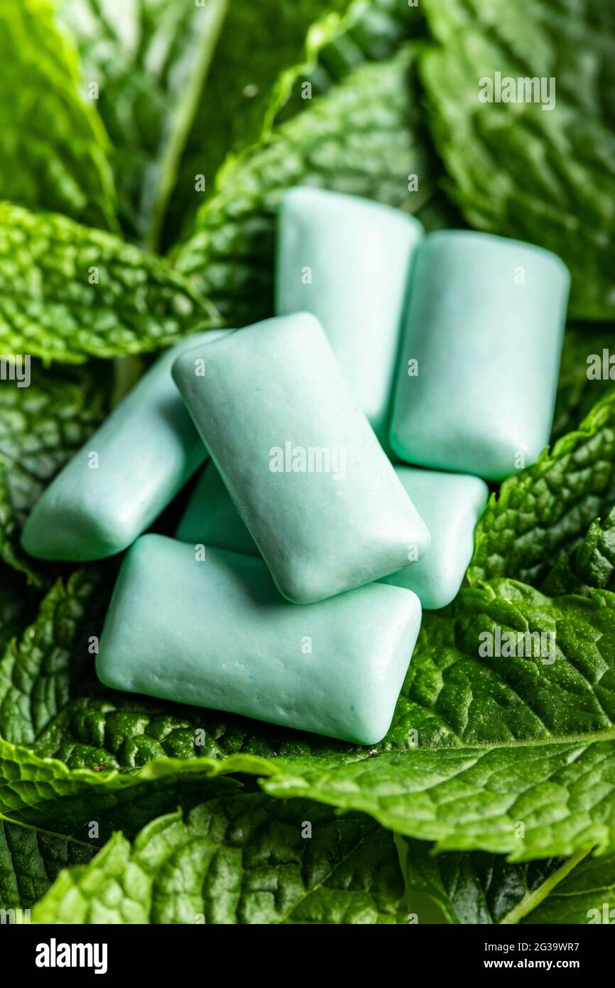Chewing gum pads with mint leaves isolated on white background Stock Photo  - Alamy