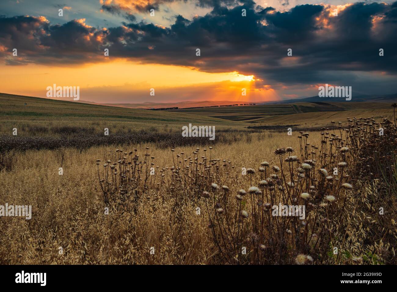 Dramatic sunset over farm fields Stock Photo