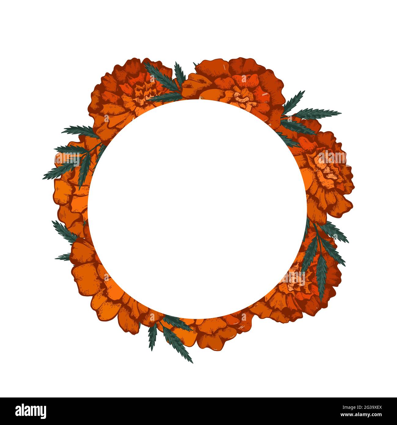 Round frame with colorful sketch of marigolds and copy space. Invitation  cards with flowerhead and leaves. Vector outline natural template for  postcar Stock Vector Image & Art - Alamy