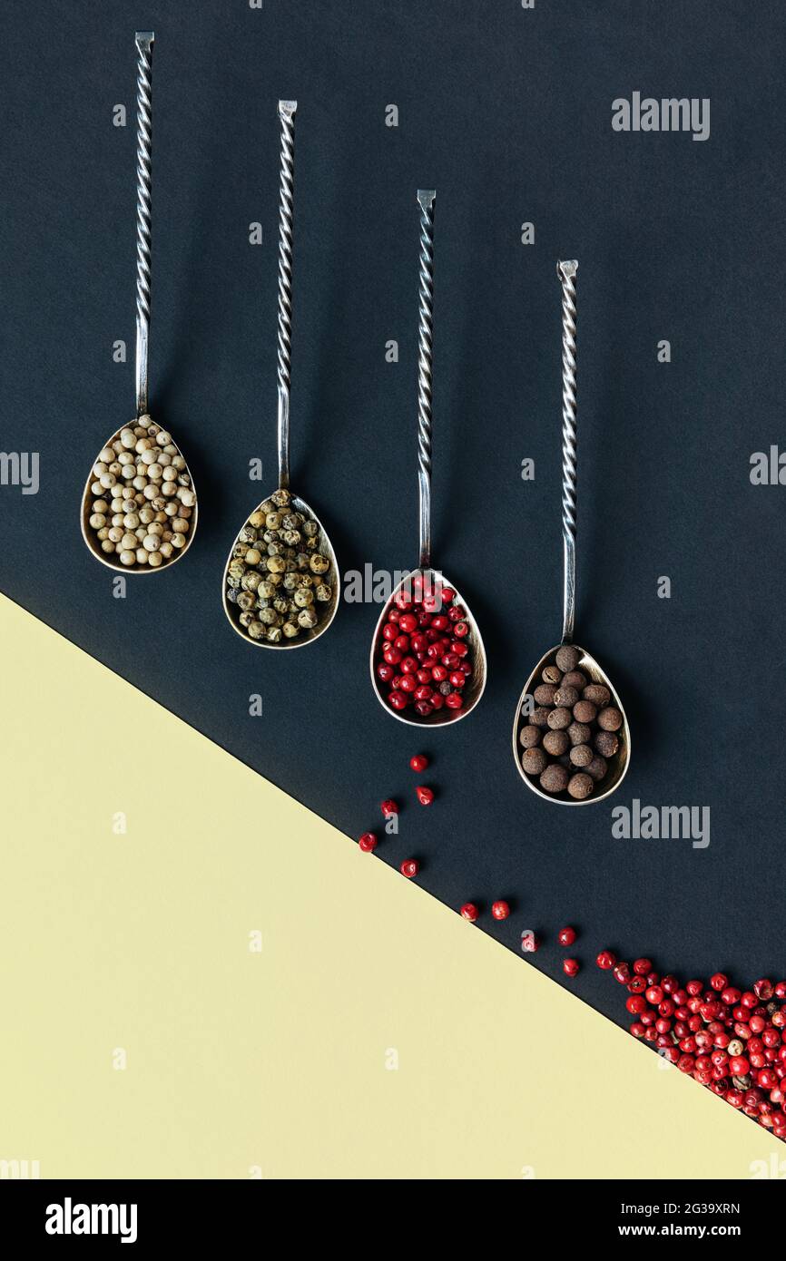 Different varieties of peppercorns in metal spoons on a double-colored paper background Stock Photo