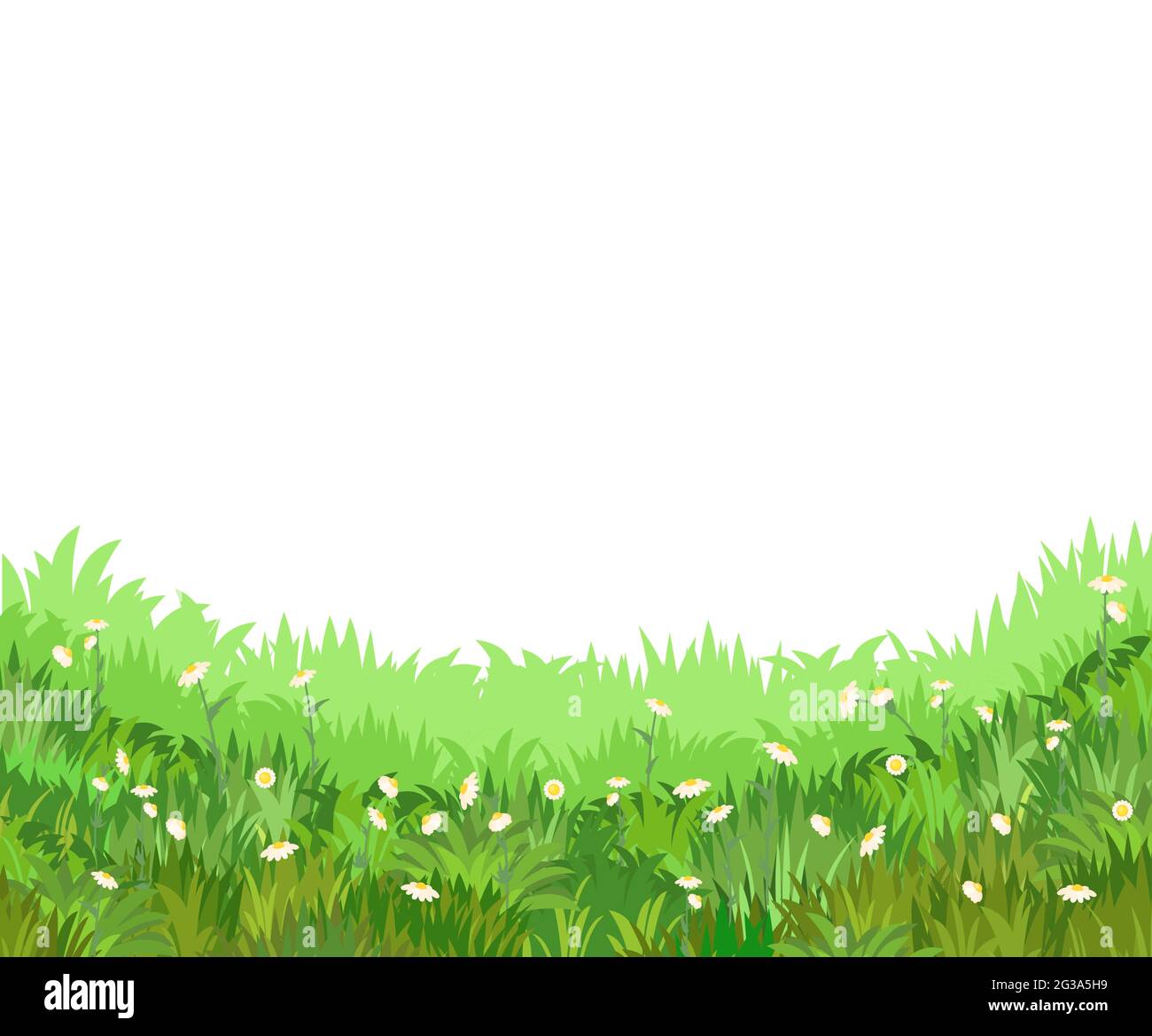 Meadow with wildflowers. Grass close-up. Beautiful green rural landscape. Isolated. Cartoon style. Flat design. Countryside view. Flowers. Art Stock Vector