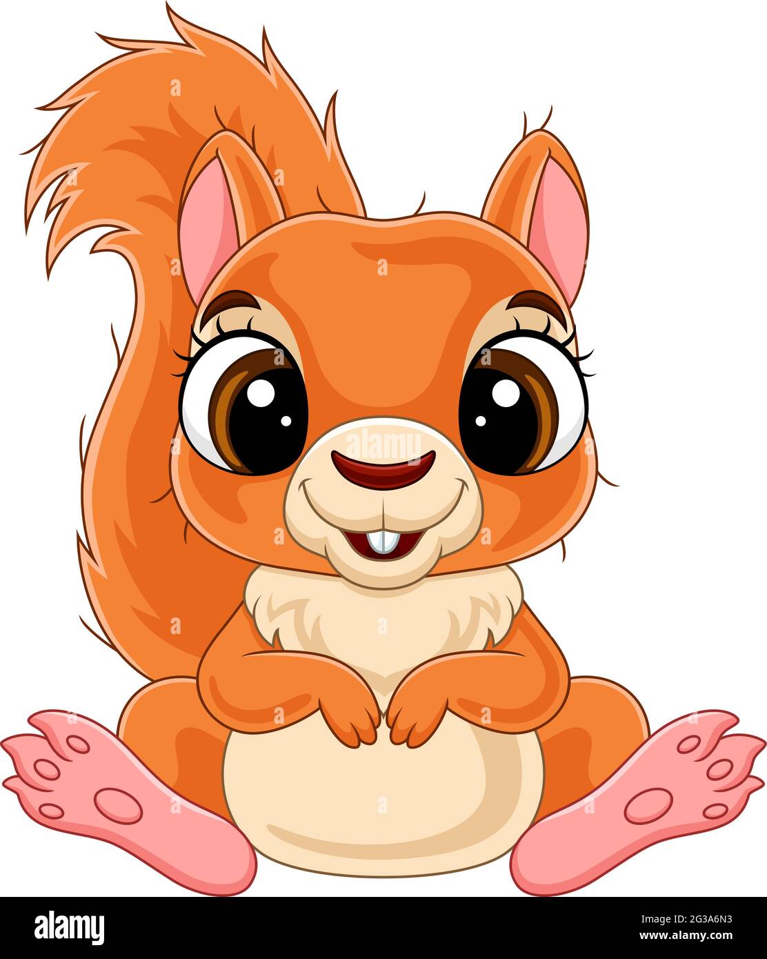 Cartoon funny little squirrel sitting Stock Vector Image & Art - Alamy
