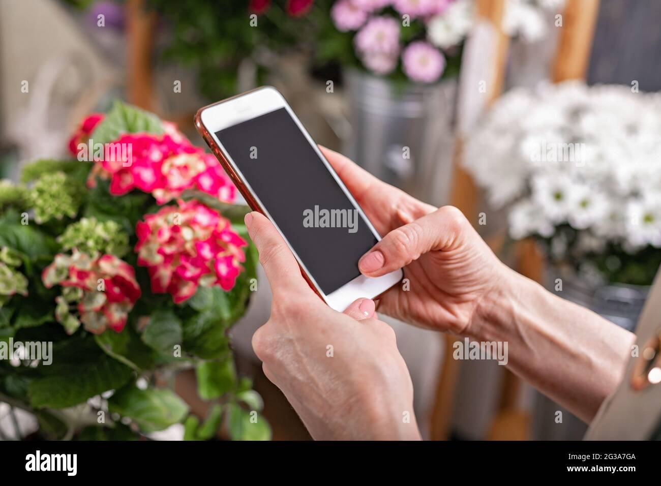 Close-up hands florist holding a smartphone. She accepts the order using Internet technologies. Florist workplace. Small business concept. Flowers and Stock Photo