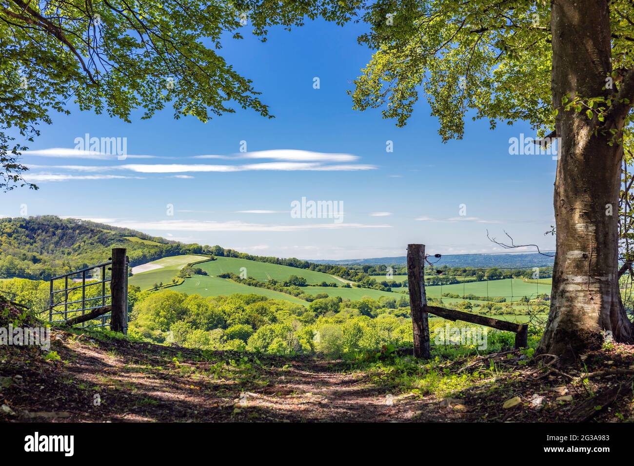View over the South Downs National Park, Cocking, West Sussex, England. Stock Photo