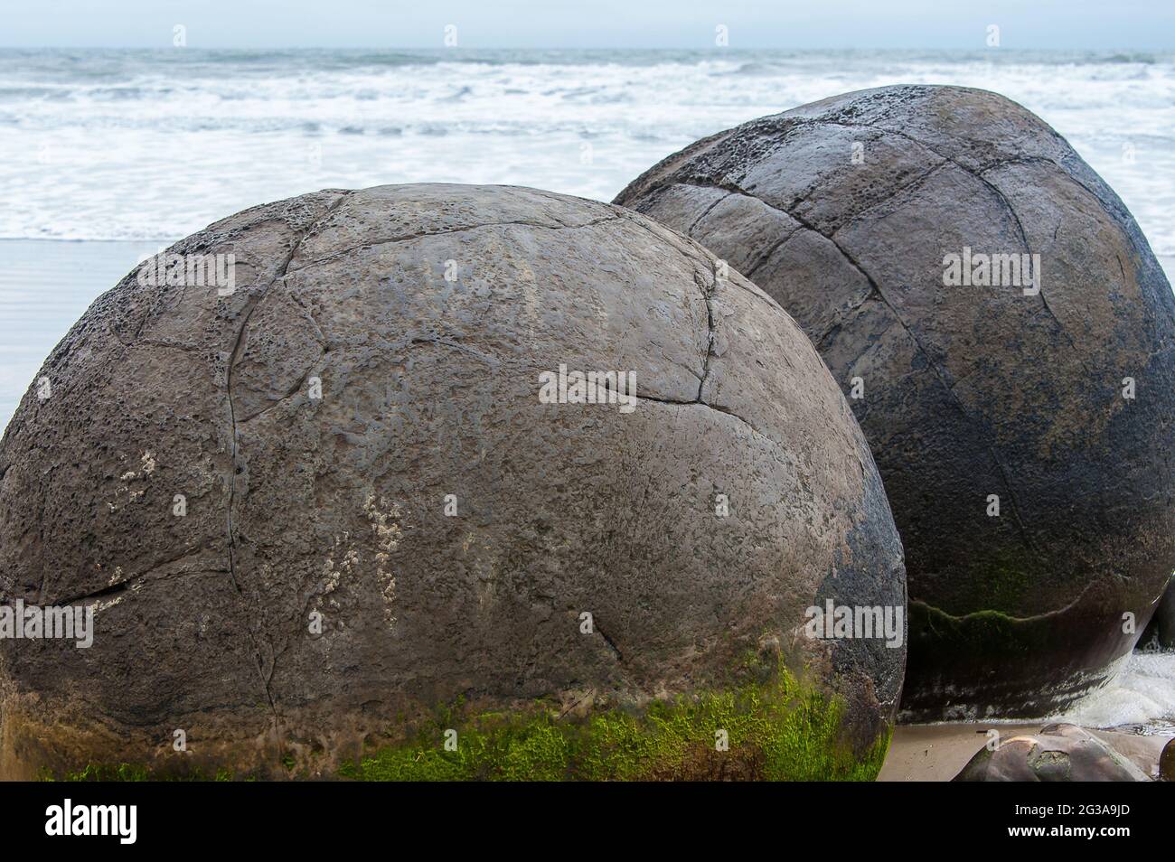 The Moeraki Boulders on Koekohe Beach, Otago. Close up view of a two moss covered spherical rocks, with grey sea/sky background Stock Photo