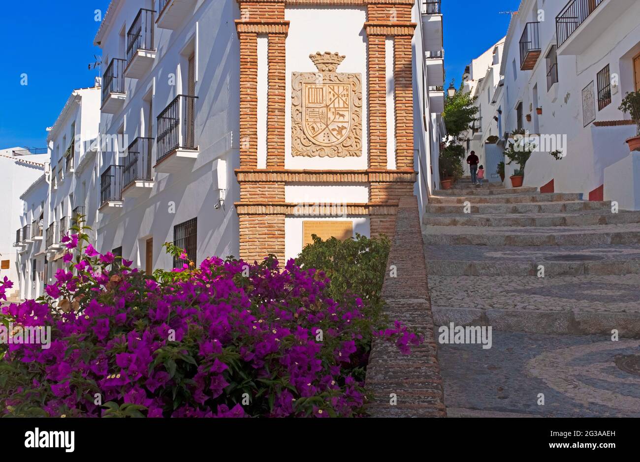 A view of the Moorish-Mudéjar district of Frigiliana, made up of steep cobbled alleyways winding past white houses resplendent with flowers, Spain Stock Photo