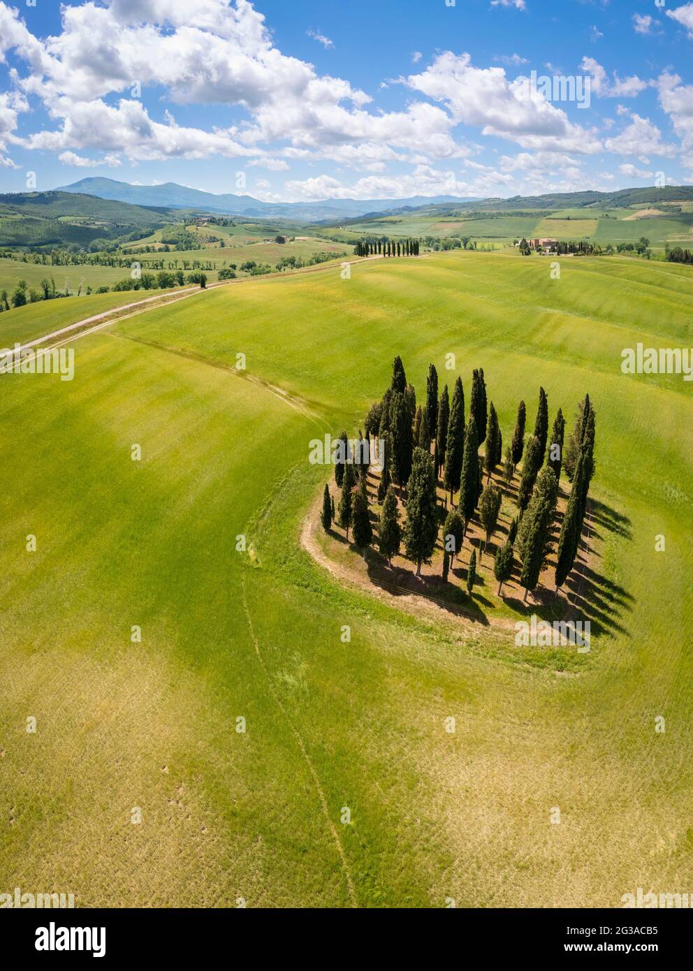 Aerial view of the famous San Quirico d'Orcia cypresses in spring. Val d'Orcia, Tuscany, Italy. Stock Photo