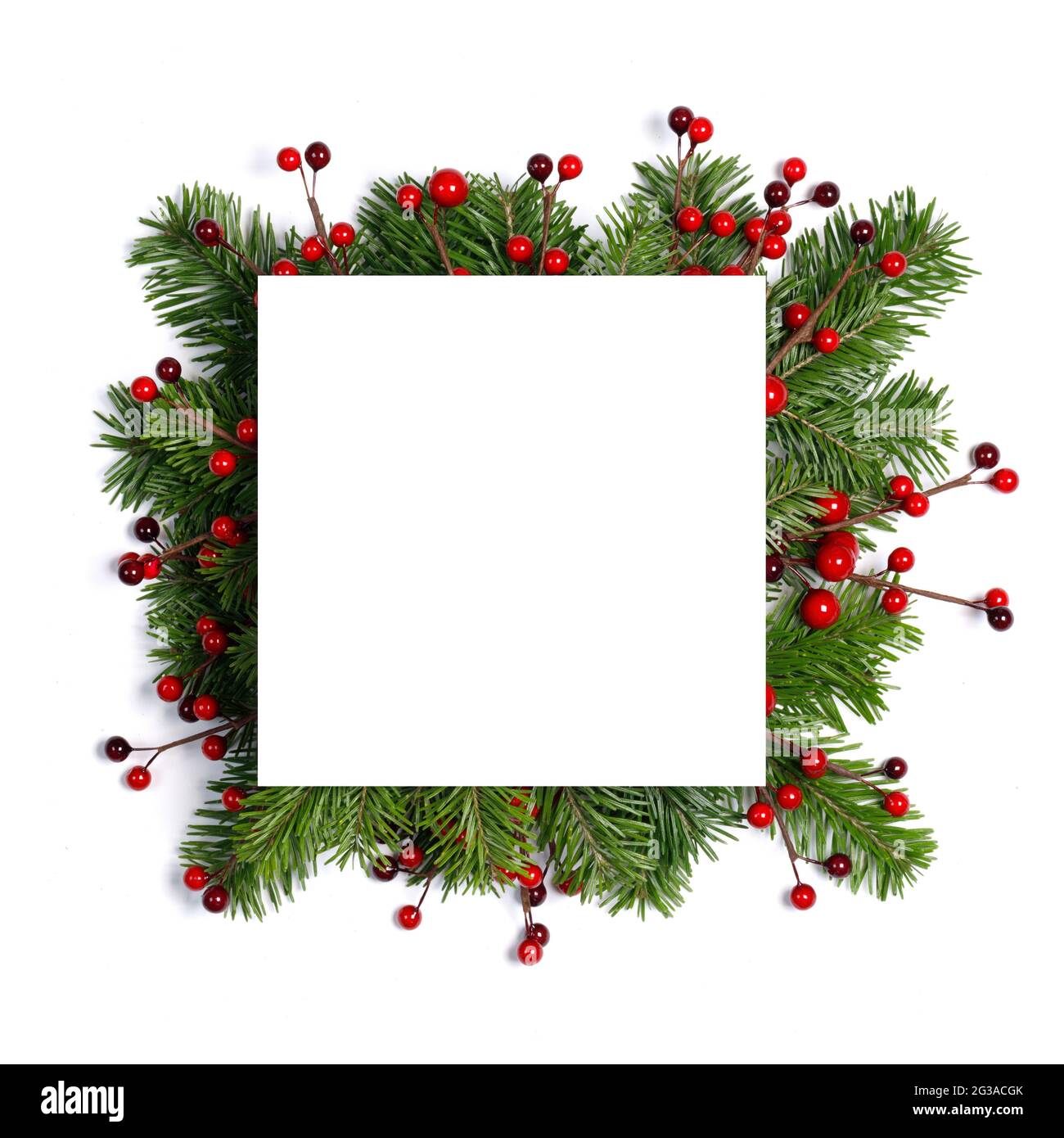 Christmas white blank card with copy space and decor of fir tree branch ...