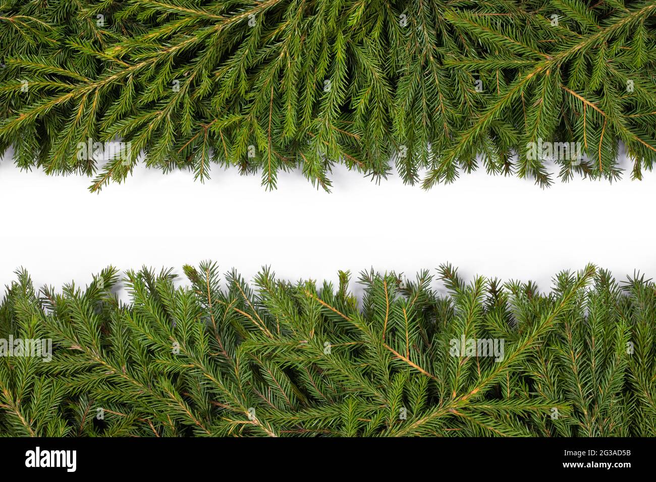 Natural fir Christmas tree border frame isolated on white , copy space ...