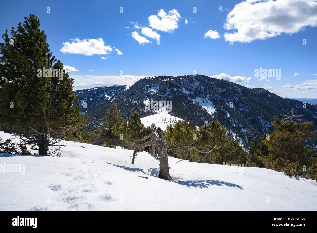 Boumort mountain range seen from Tossal de Caners summit, snowy in winter (Pallars Jussà, Lleida, Catalonia, Spain, Pyrenees) Stock Photo