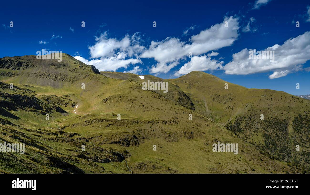 Climbing to the summit of Salòria from the Coll de Conflent mountain pass by the ridge (Alt Pirineu Natural Park, Catalonia, Spain, Pyrenees) Stock Photo