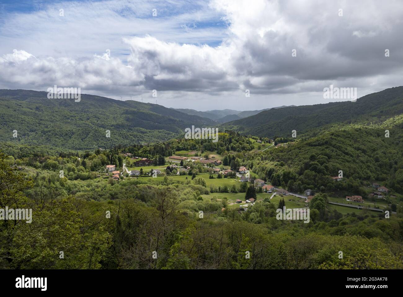 Beautiful trees on a hilly terrain in Forte Lodrino Superiore, Italy