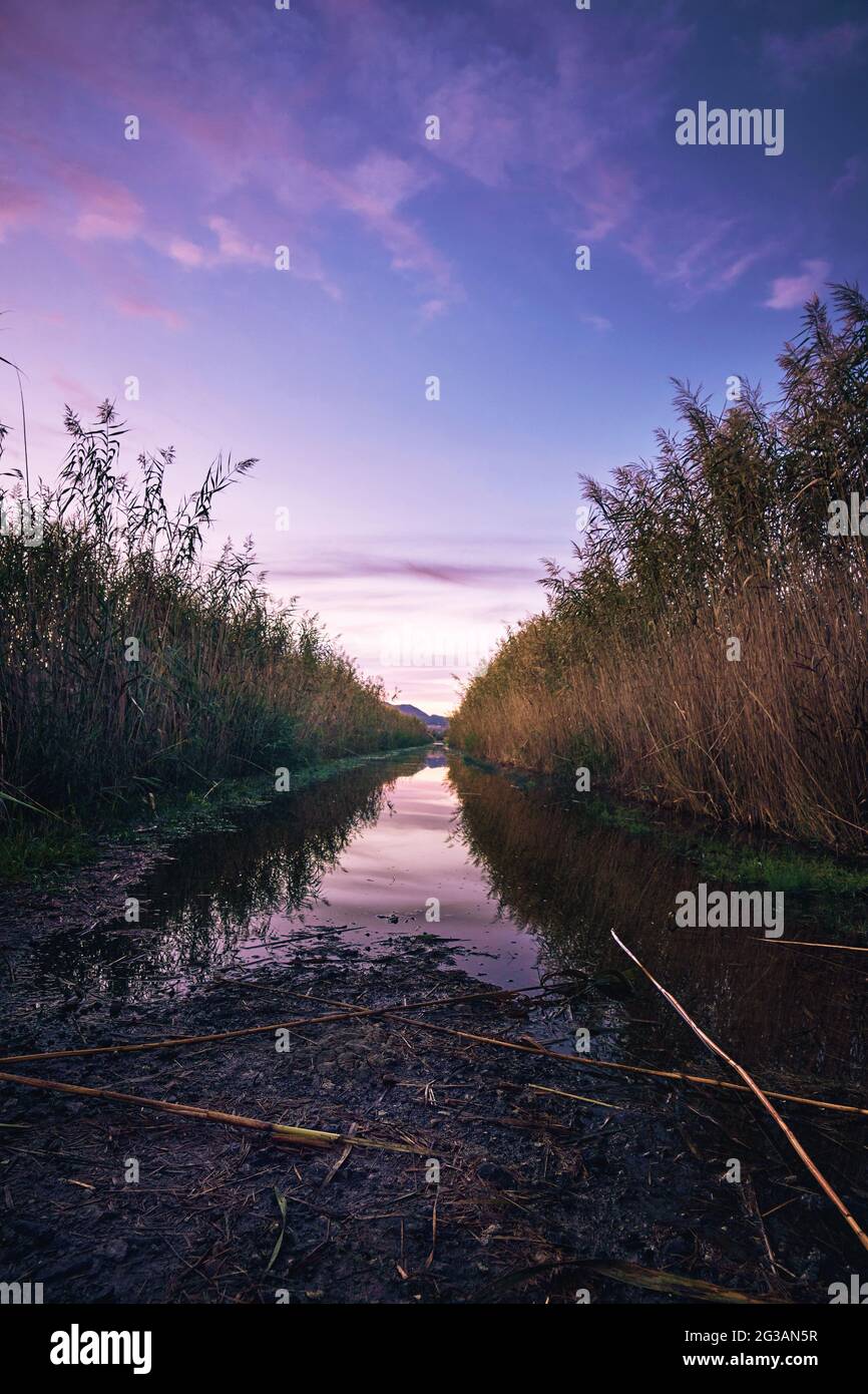 pink clouds in the sunset sky landscape Stock Photo - Alamy