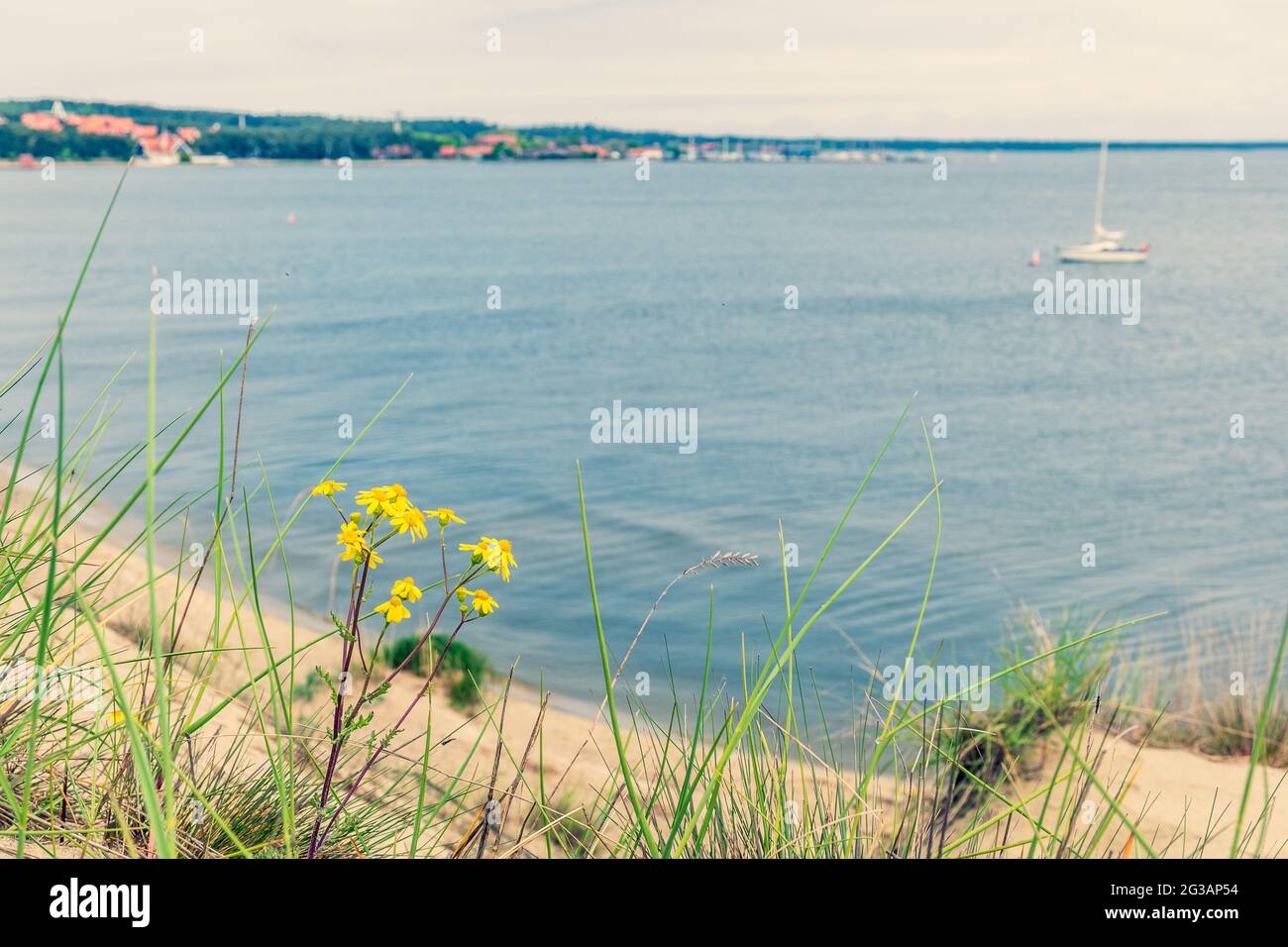Panoramic view from sand dunes in Nida, Klaipeda, Lithuania, Europe. Curonian Spit and Curonian Lagoon, Nida harbour. Baltic Dunes. Unesco heritage Stock Photo