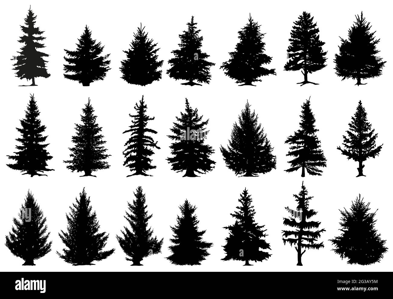 Christmas pine trees silhouettes. Coniferous forest monochrome woods,  vintage fir trees silhouettes vector isolated icons set. Spruce forest trees  Stock Vector Image & Art - Alamy