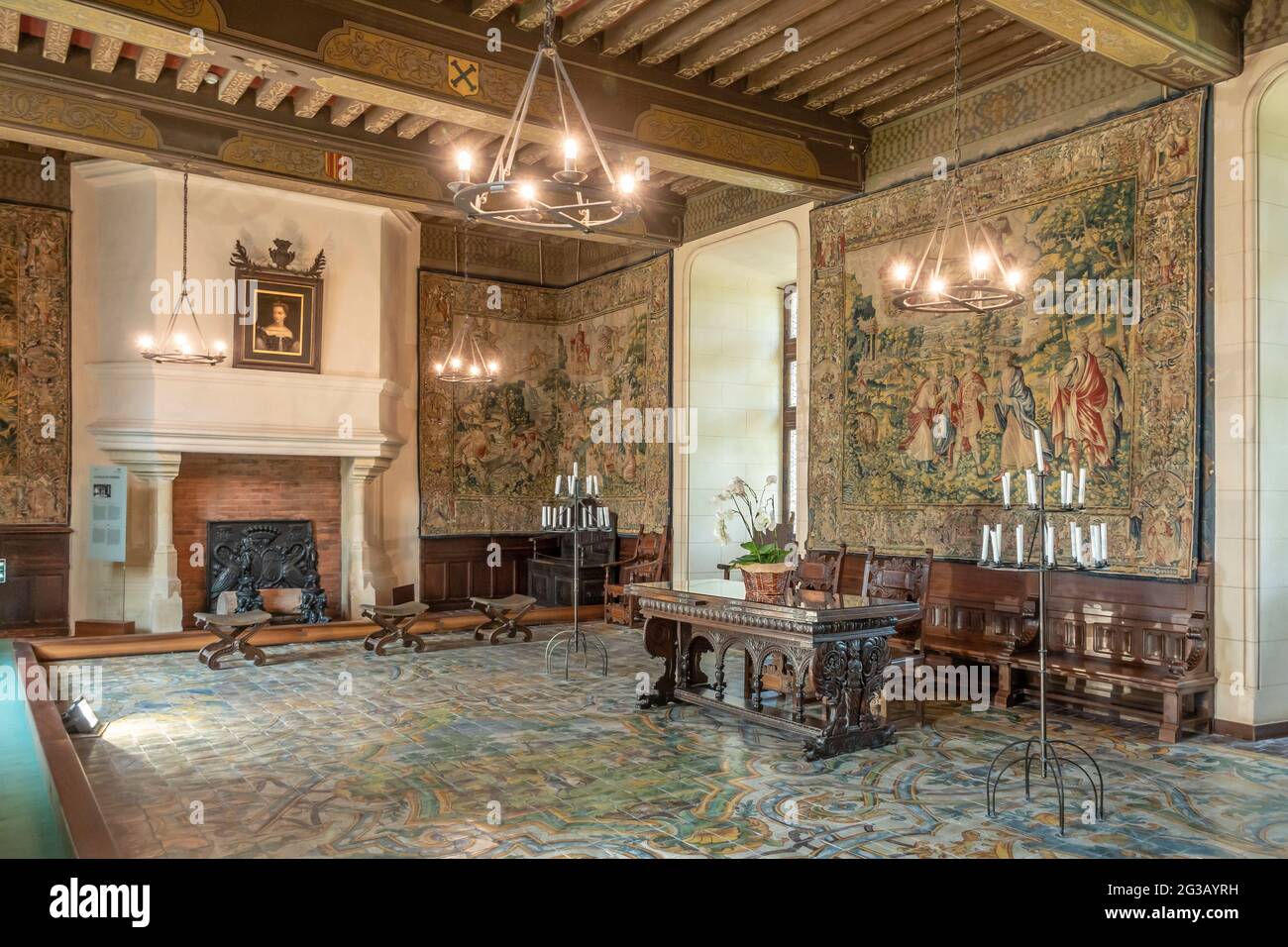 FRANCE - LOIRE VALLEY - LOIR ET CHER (41) - CASTLE OF CHAUMONT SUR LOIRE : THE COUNCIL ROOM, DECORATED WITH THE 'HANGING OF THE PLANET AND DAYS'. MADE Stock Photo