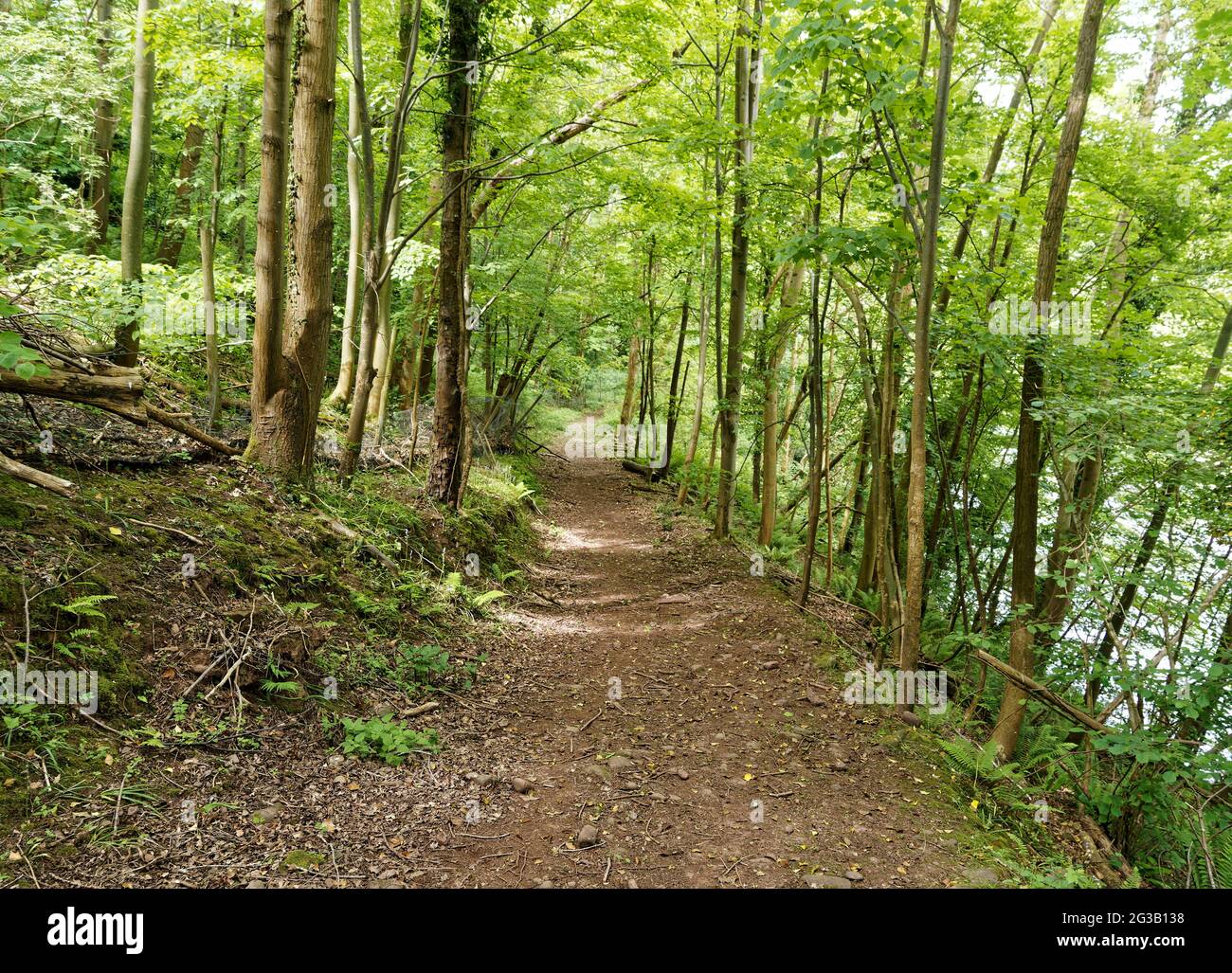 Glanusk Estate, Crickhowell, Powys. Wales, UK Stock Photo Alamy
