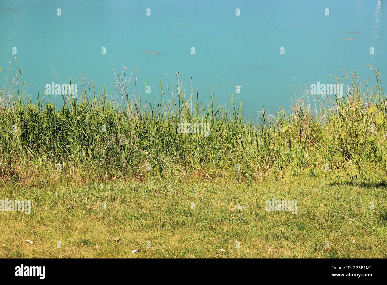 Lush green parks hi-res stock photography and images - Alamy