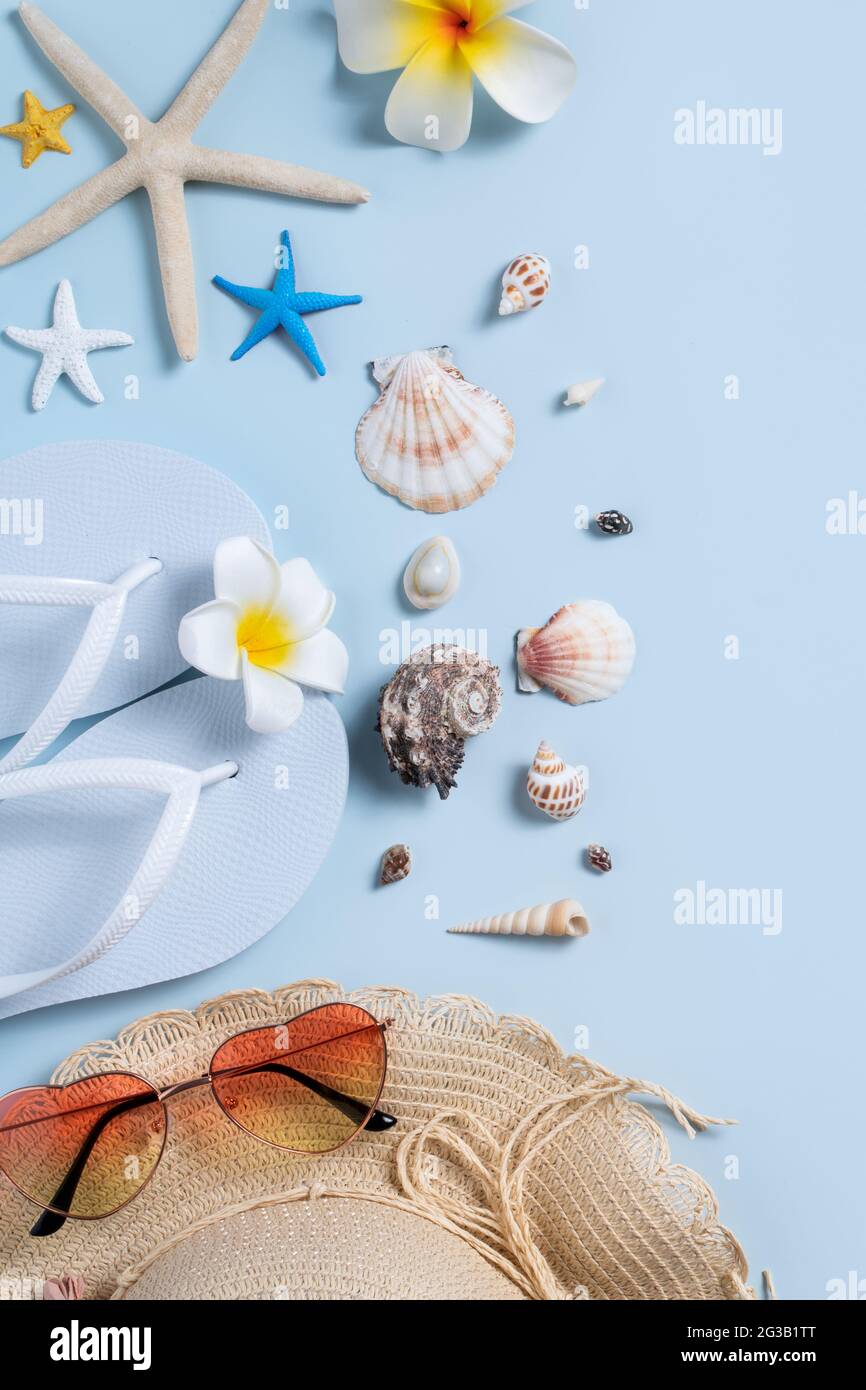 Starfish and Seashell on Summer Beach in Sea Water Summer Background Stock  Image  Image of shell idyllic 225884973